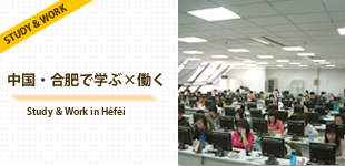 中国・合肥で学ぶ×働く